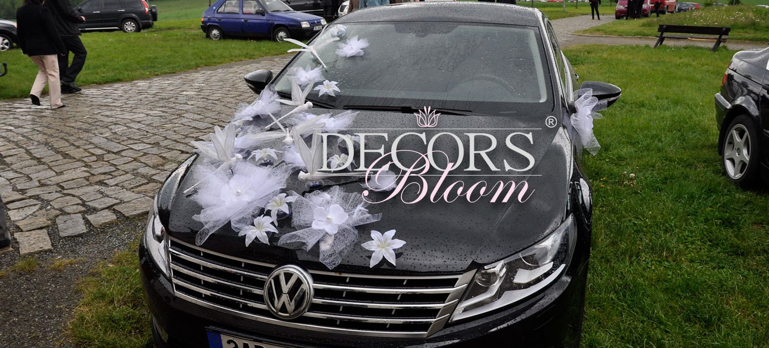 DECORS Bloom  ....... reference KAO.cz (kao.cz)