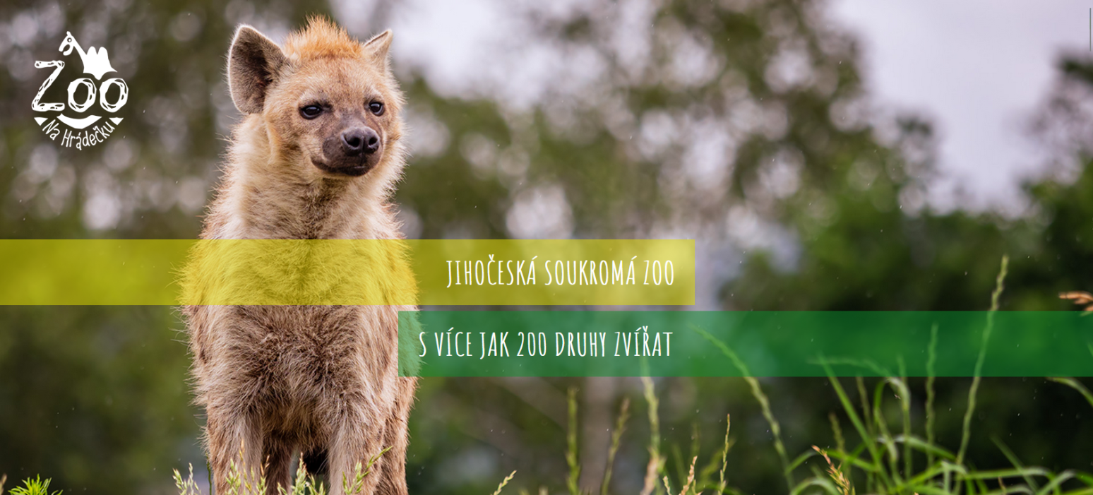 ZOO Na Hrádečku ....... reference KAO.cz